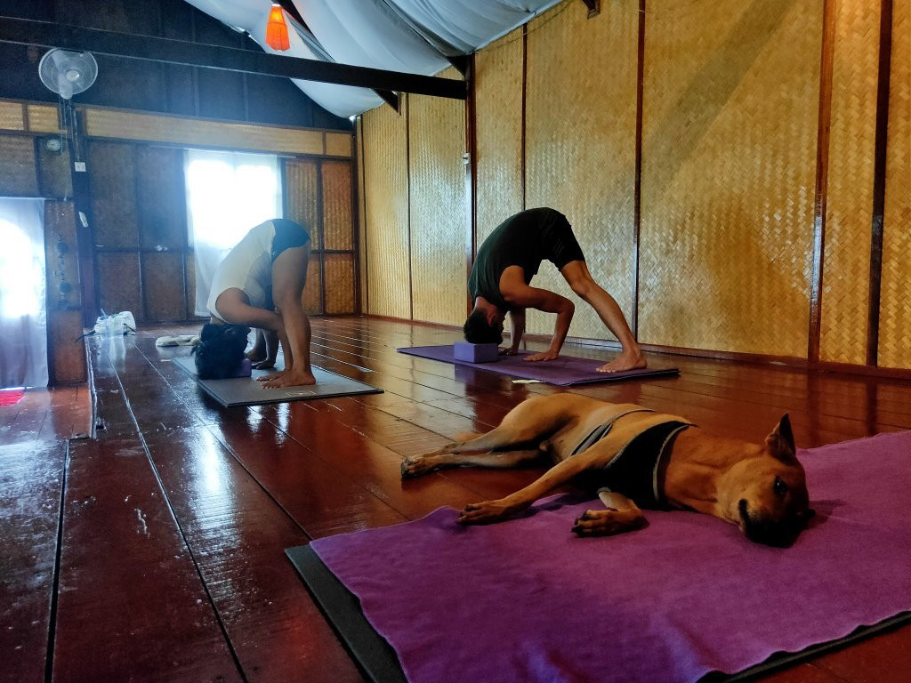 Keirita's Yoga Koh Lipe景点图片