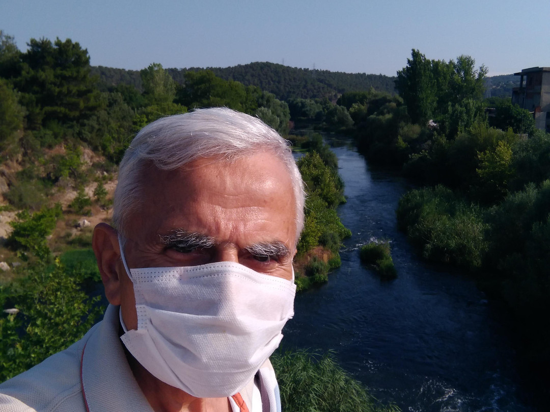 Asilhan Bey Köprüsü景点图片