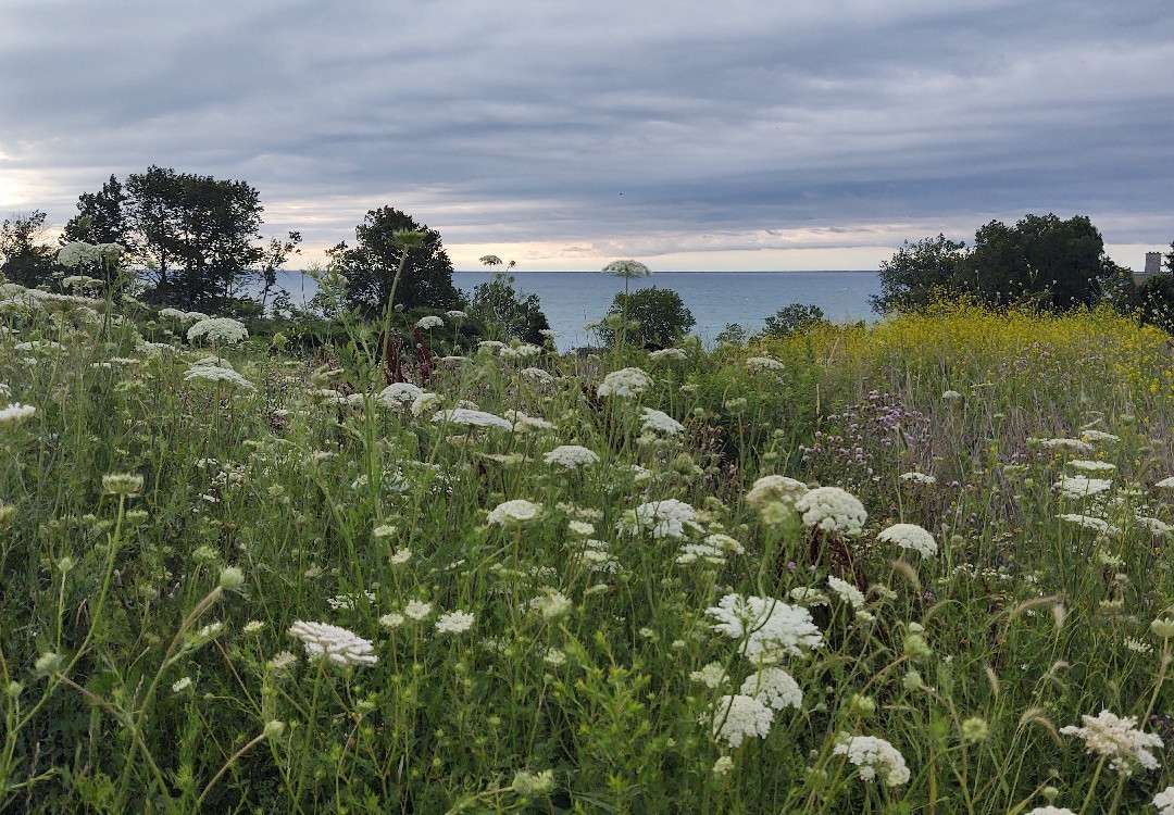 Fort Sheridan Forest Preserve-Lake Forest必去景点