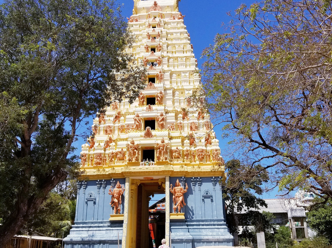 Naguleswaram Temple-贾夫纳必去景点