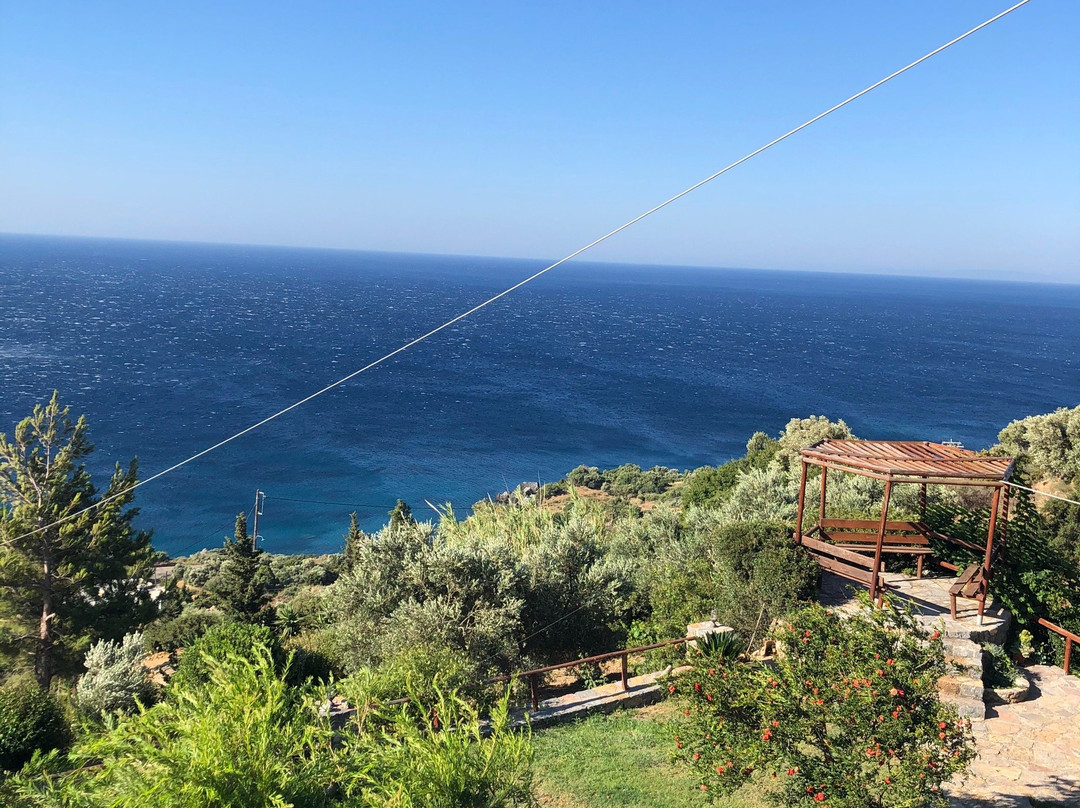 Elgini Studios Apartments主图