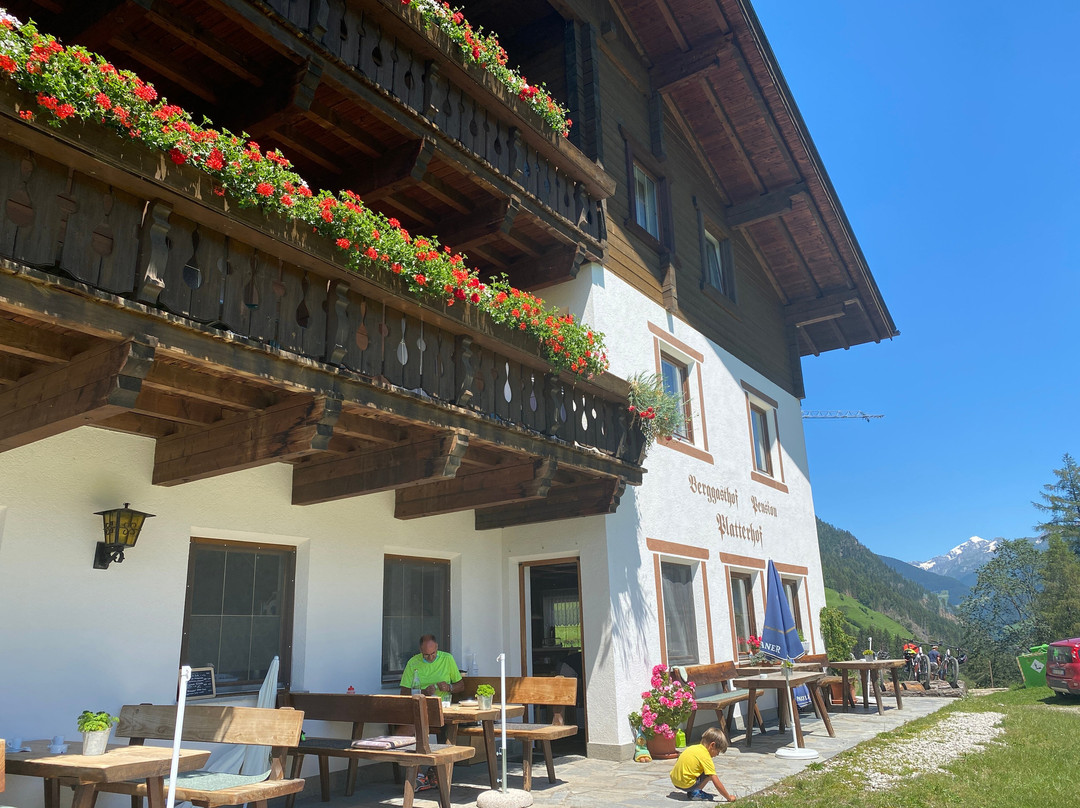 Berggasthof Platterhof主图