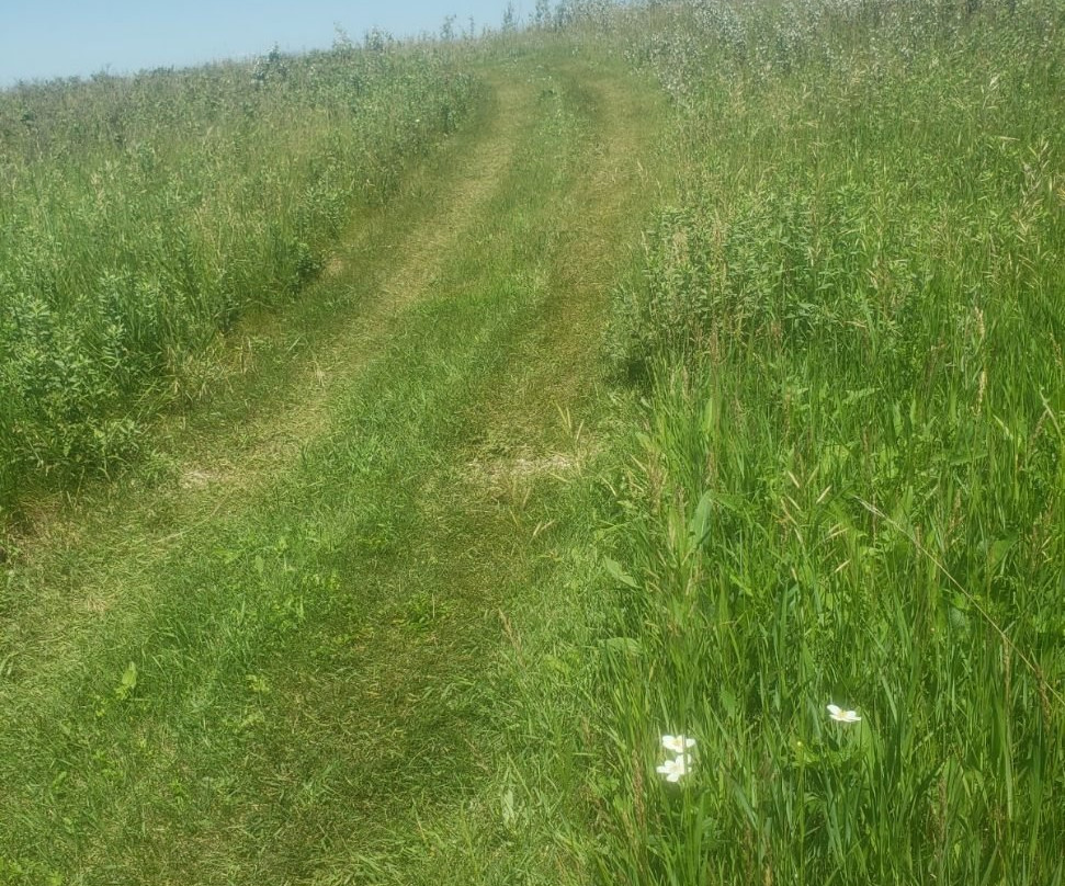 Moose Creek Regional Park-Oxbow必去景点
