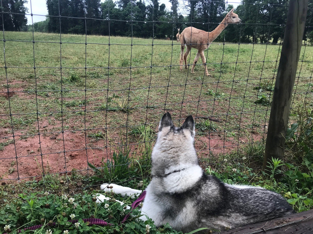 Prospect Hill Inn主图