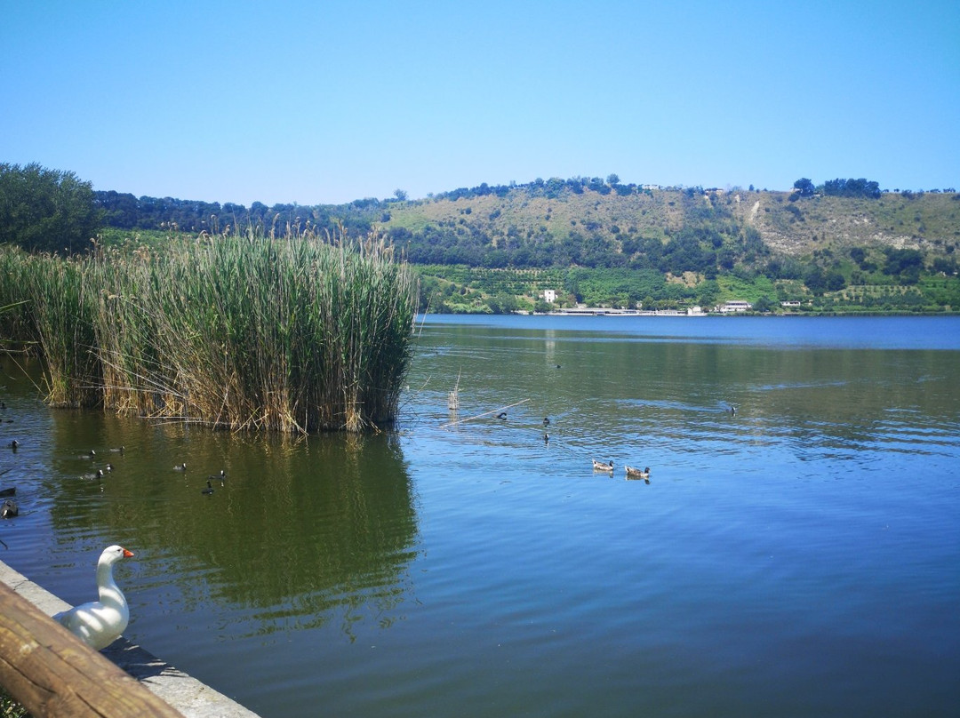 Lago d'Averno景点图片