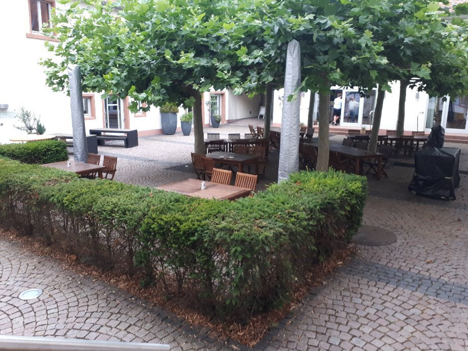 Landhotel Zum Schwanen主图