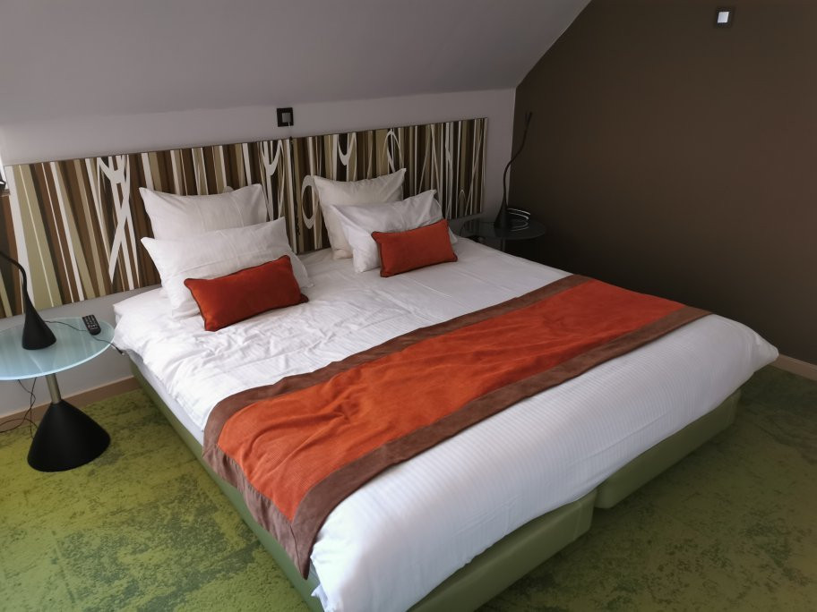 Hotel Du Parc主图