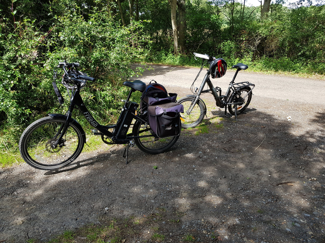 UK Electric Bike Centre-Headcorn必去景点