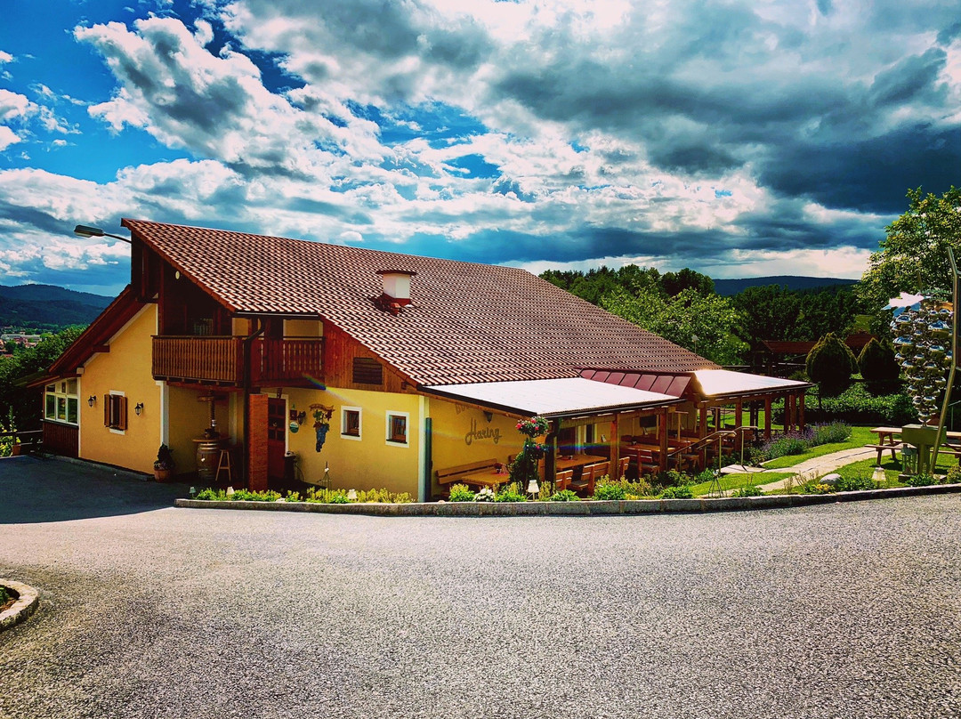 Weingut Haring Vlg.Pichlippi-Eibiswald必去景点