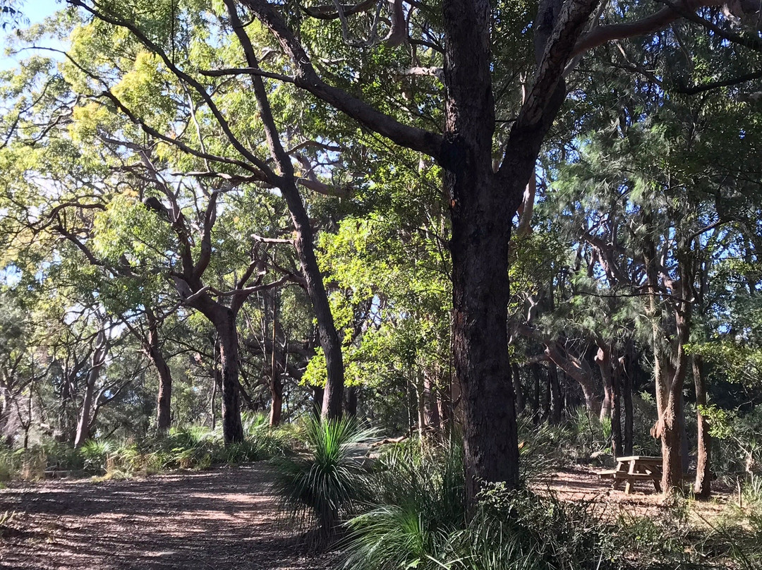 Mount Ettalong Lookout景点图片