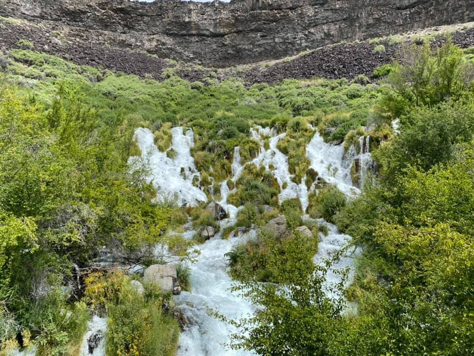 Niagara Springs Fish Hatchery-Wendell必去景点