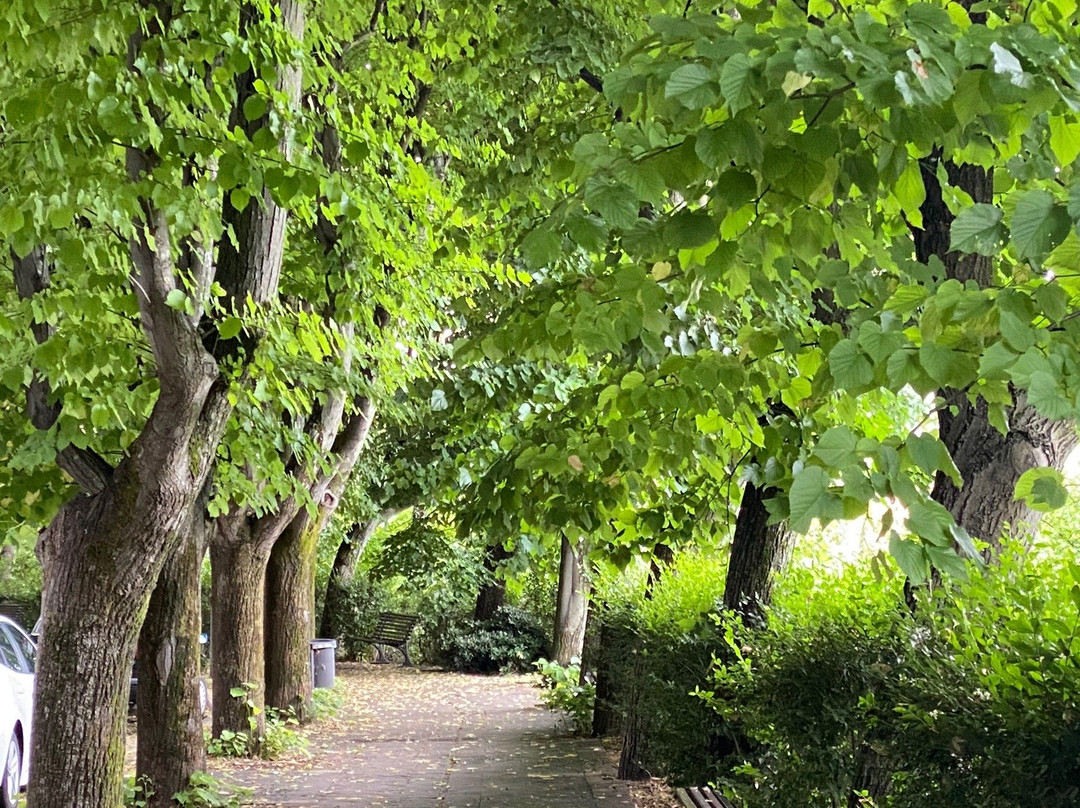 Viale Dietro le Monache-Corinaldo必去景点