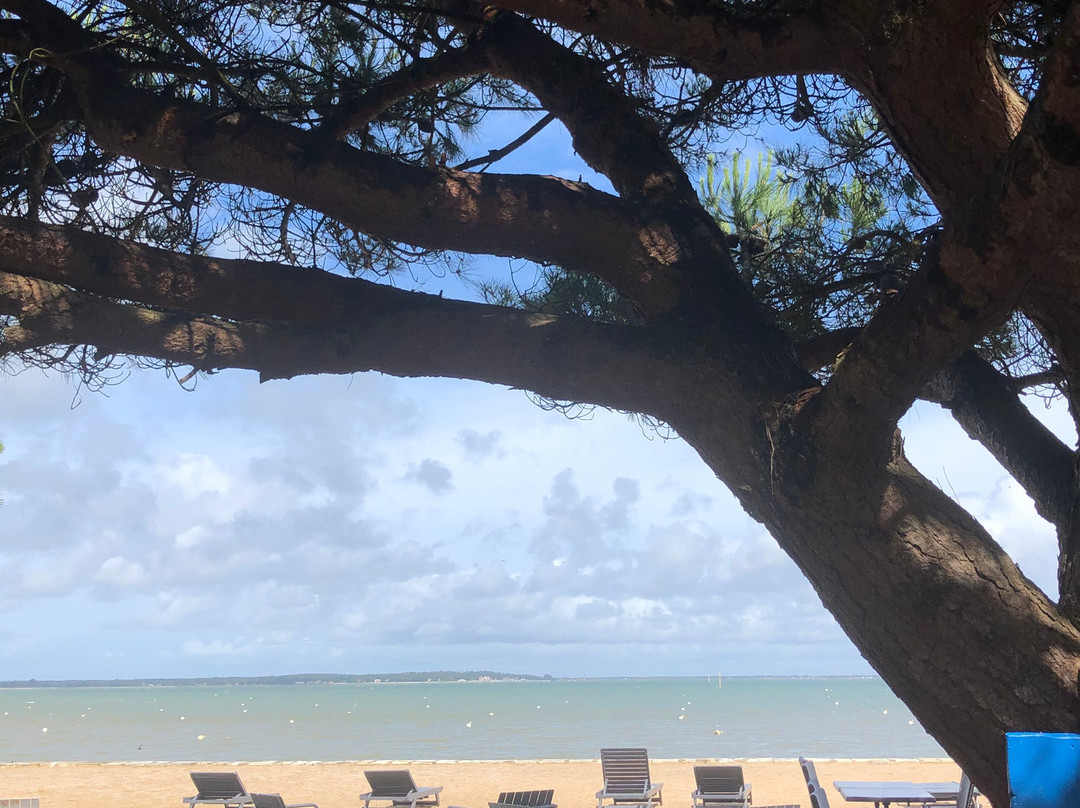 Dormir Sur La Plage主图