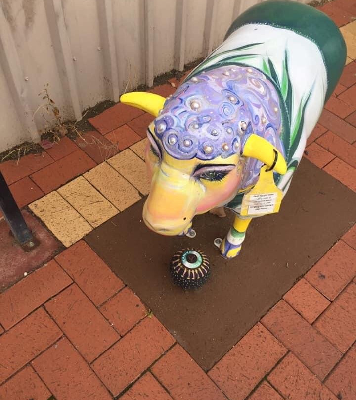 Sheep Art-Kaniva必去景点