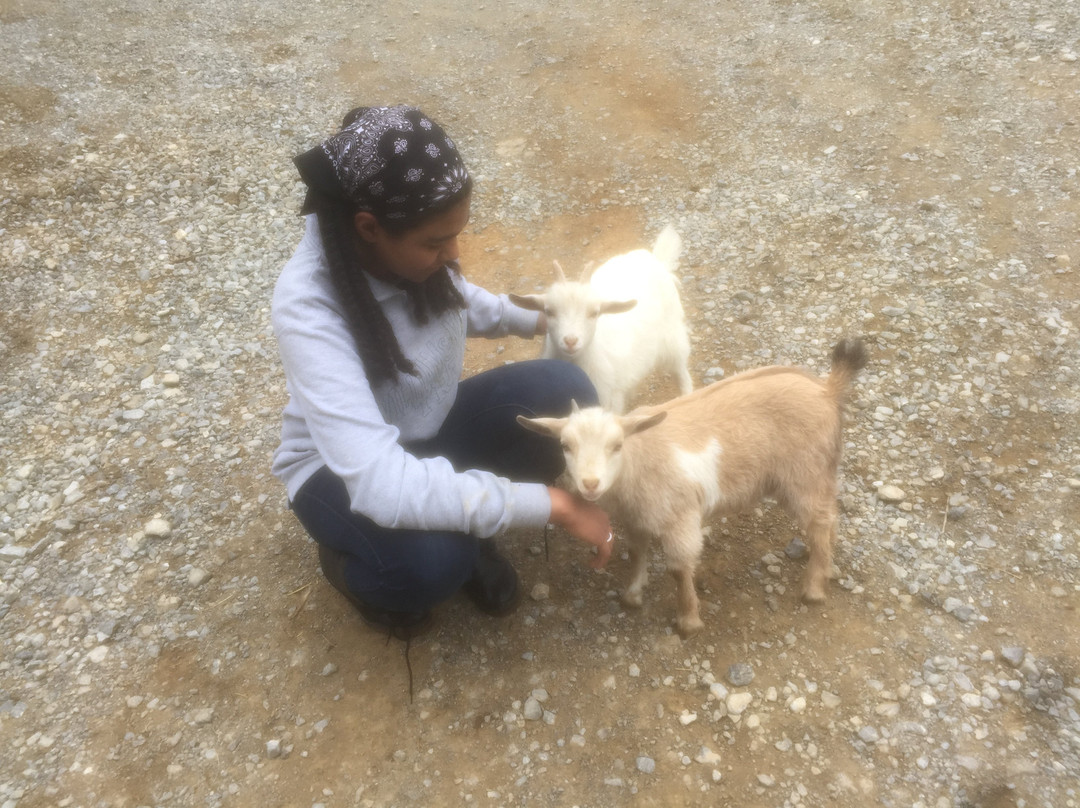 Twin Valley Bed and Breakfast and Horse Ranch主图