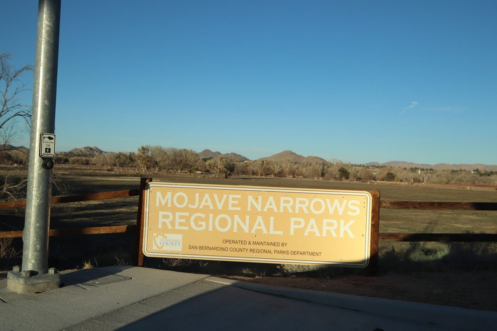 Mojave Narrows Regional Park Camping景点图片
