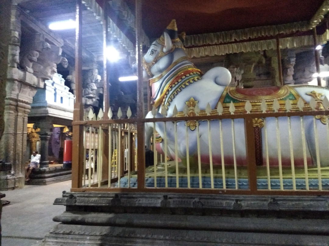 Arulmigu Nellaiappar Temple景点图片