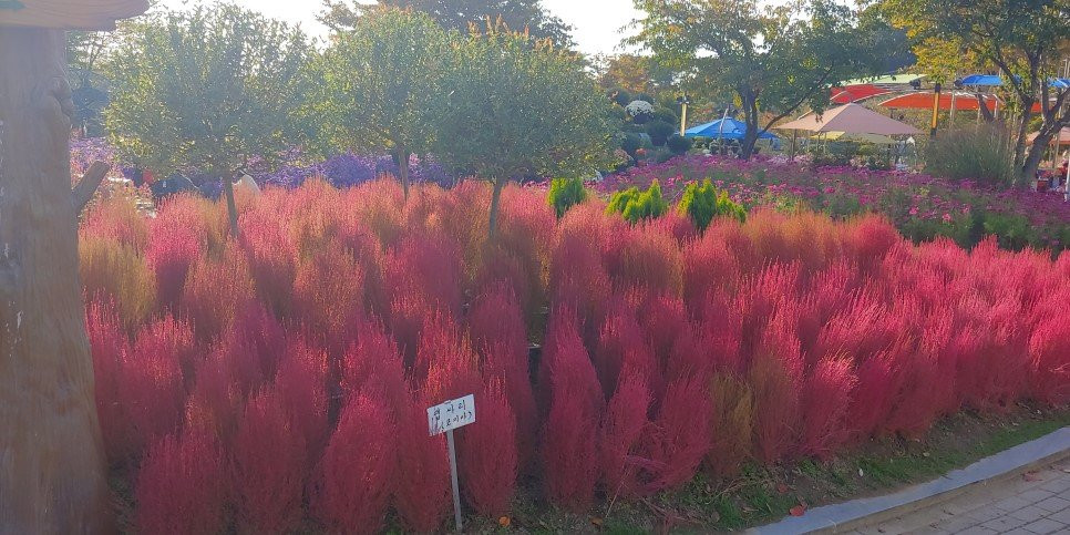 Daejeon O-World-大田必去景点