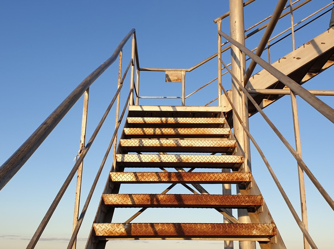 Renmark Rotary Township Lookout Tower-Renmark必去景点