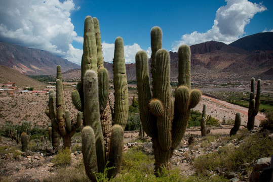 Luna Roja-萨尔塔必去景点