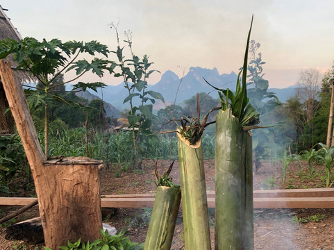 Morning Glow Laos-琅勃拉邦必去景点