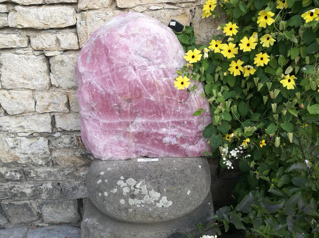 Eulenturm景点图片