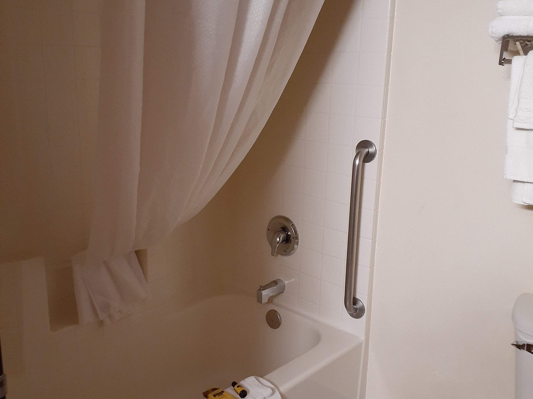 Best Western Plus Vancouver Mall Dr Hotel & Suites主图