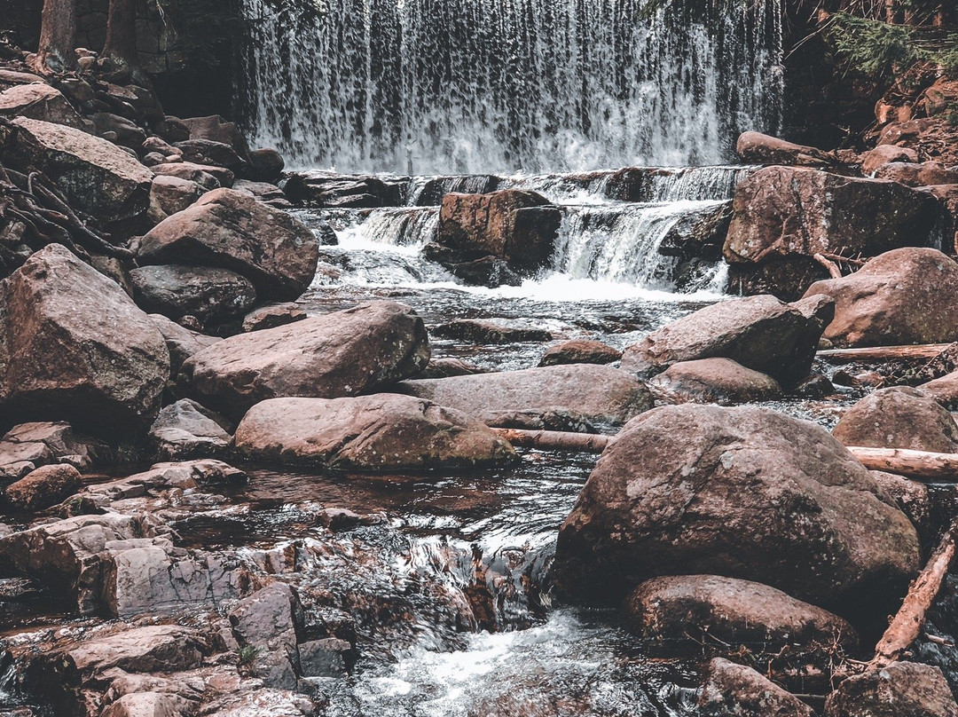 Wild Waterfall景点图片