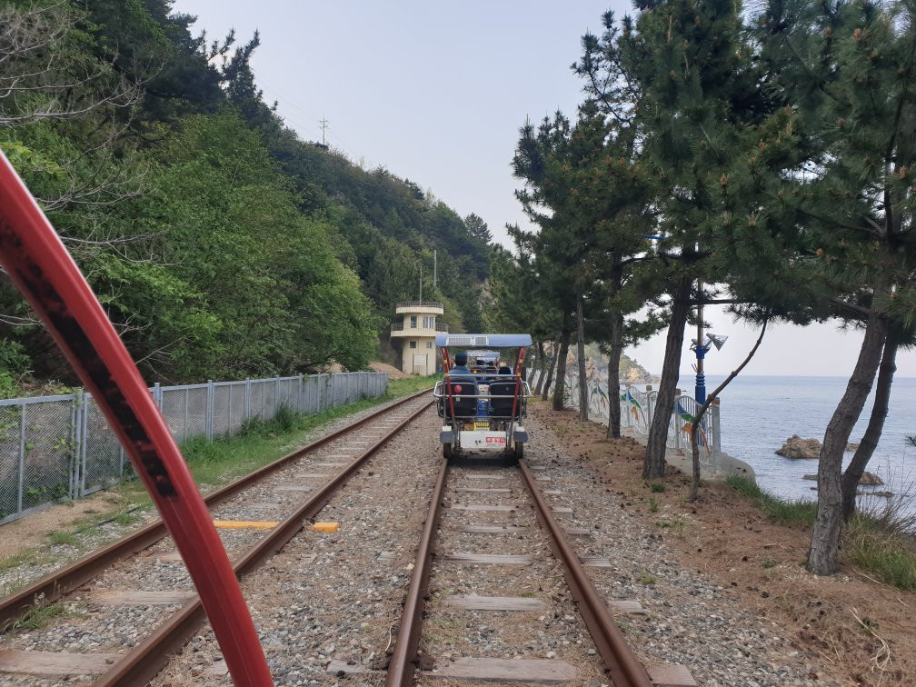 Samcheok Ocean Railbike景点图片