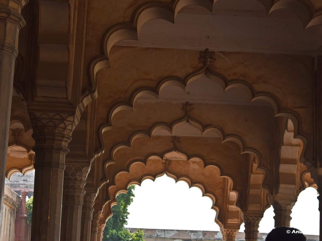 Diwan-i-Am Agra Fort景点图片
