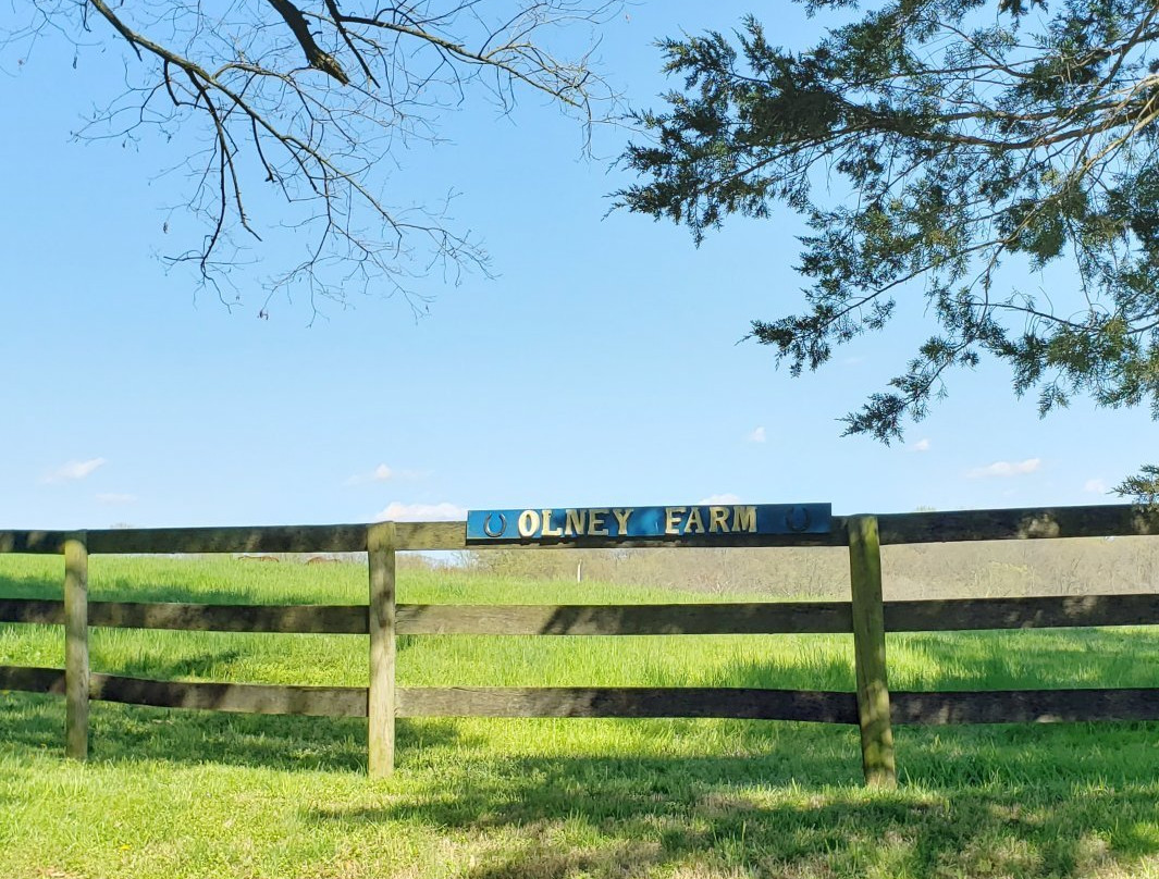 Olney Farm-Joppa必去景点