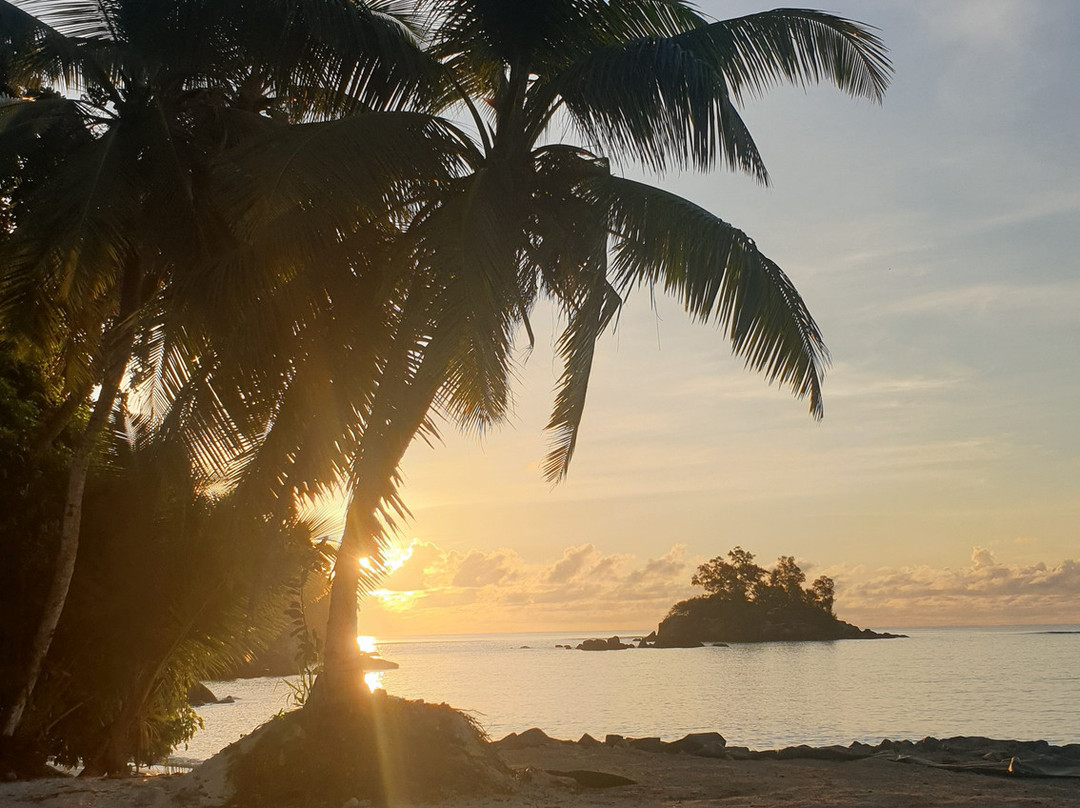 Anse La Mouche旅游攻略图片