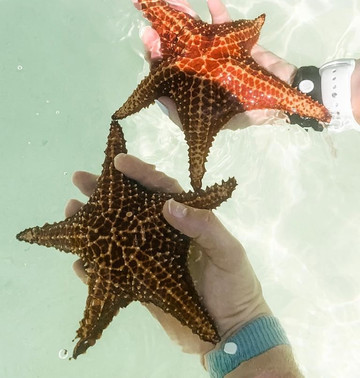 Sapphire Watersports-七哩滩必去景点