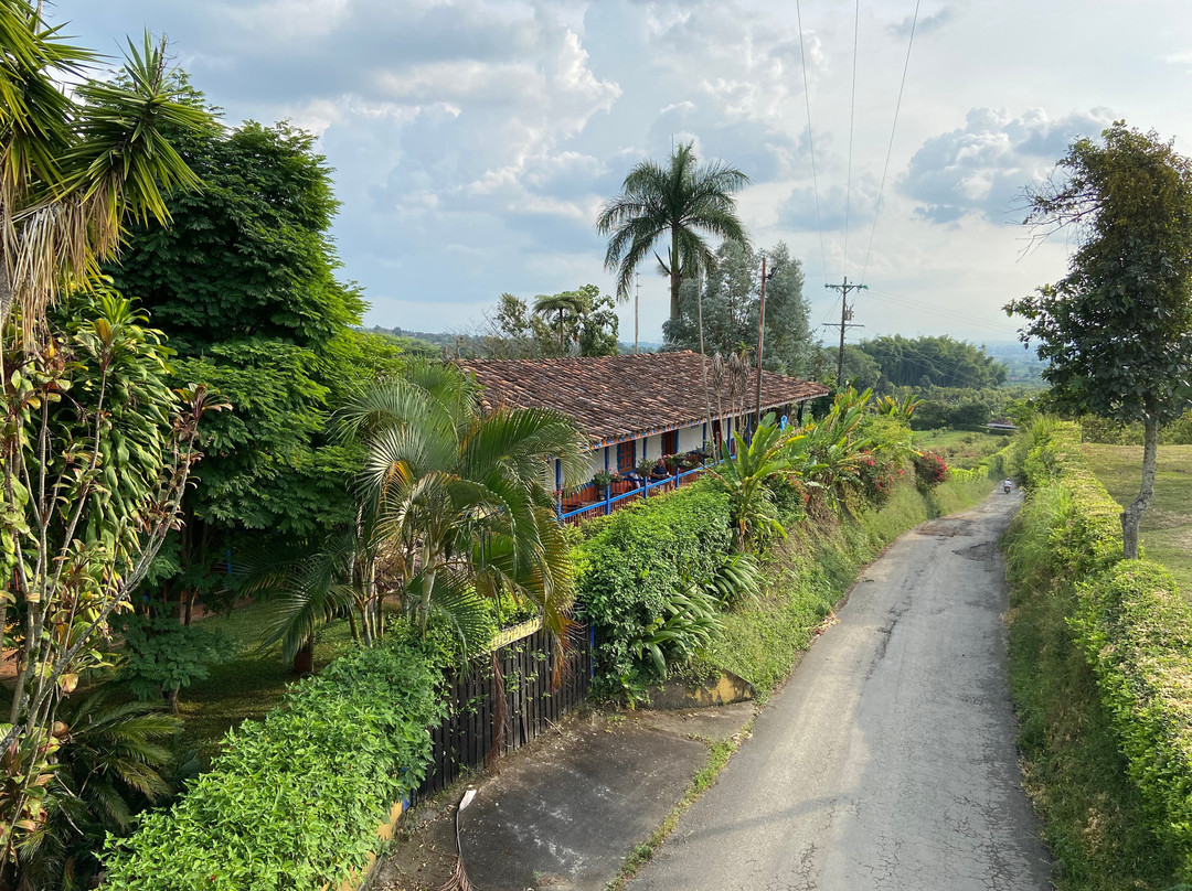 Hotel Bosques Del Samán - Alcalá主图