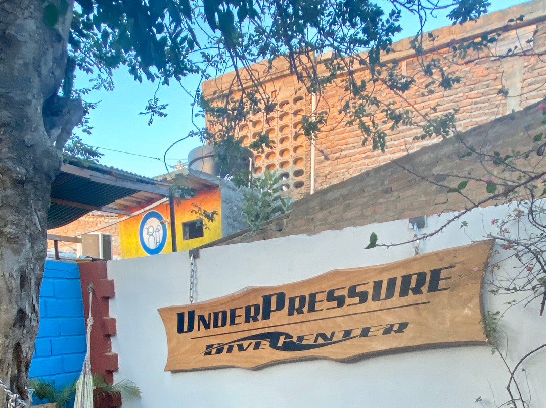 Under Pressure-位于塔甘加必去景点