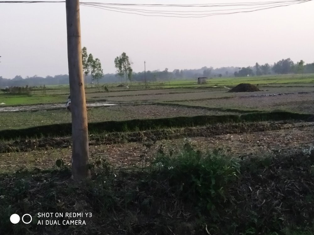 Tapan Dighi-Balurghat必去景点