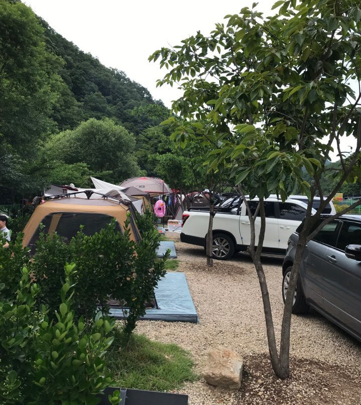 The Starry Night Pension&Camping主图