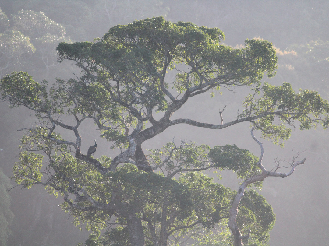 Grace Holiday Bungalow主图