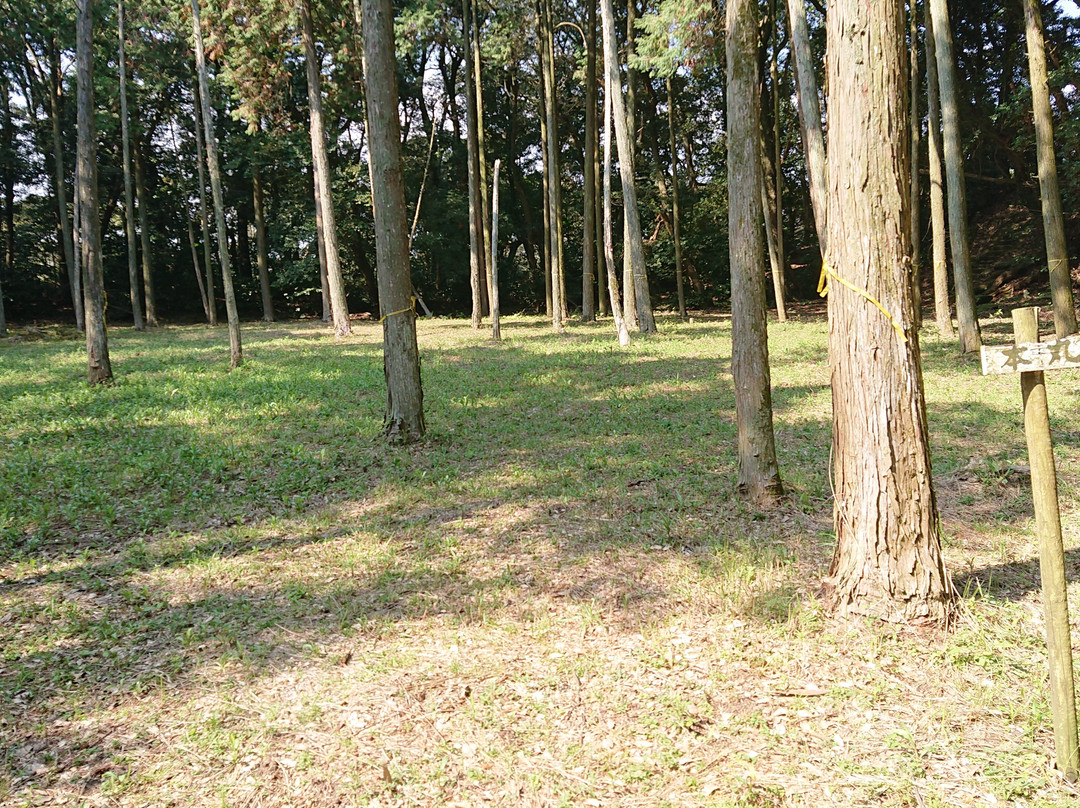 Shibushi Castle Site景点图片