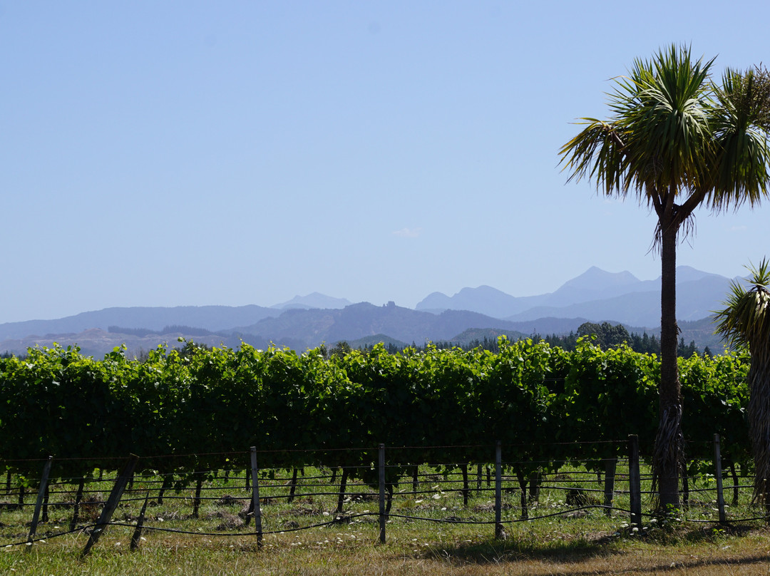 Huia Vineyards景点图片