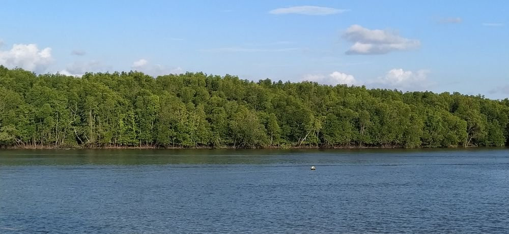 Krabi River Marina景点图片