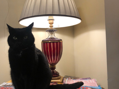 布拉曼特酒店主图