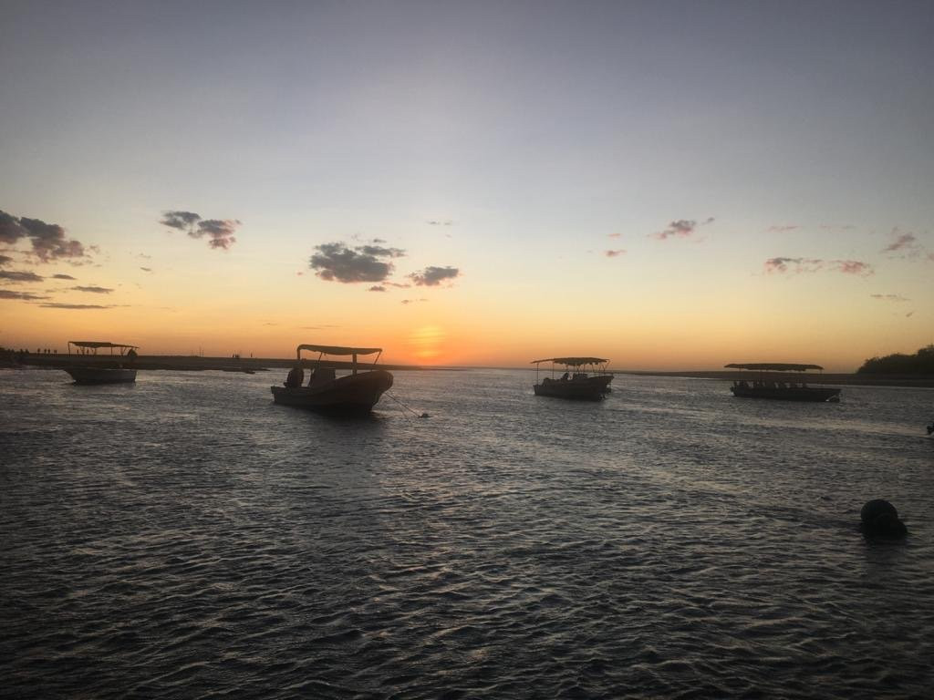 Tamarindo Tours Discovery