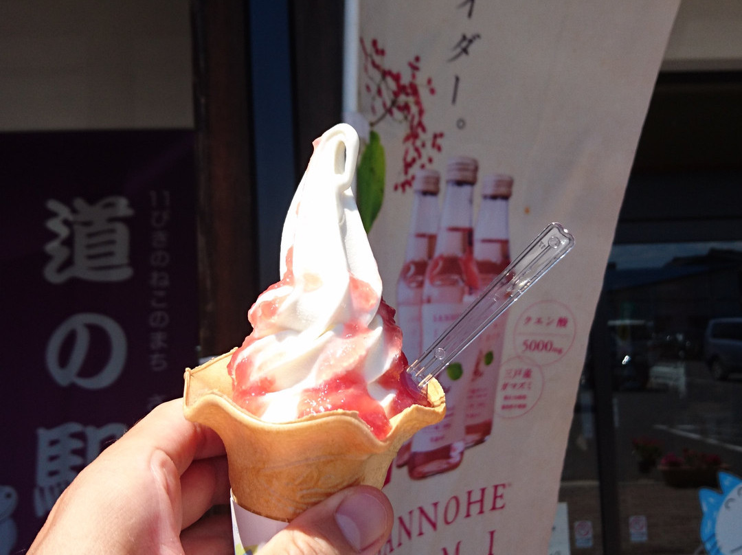 Michi-no-Eki Sannohe - Sannohe Exchange Area景点图片