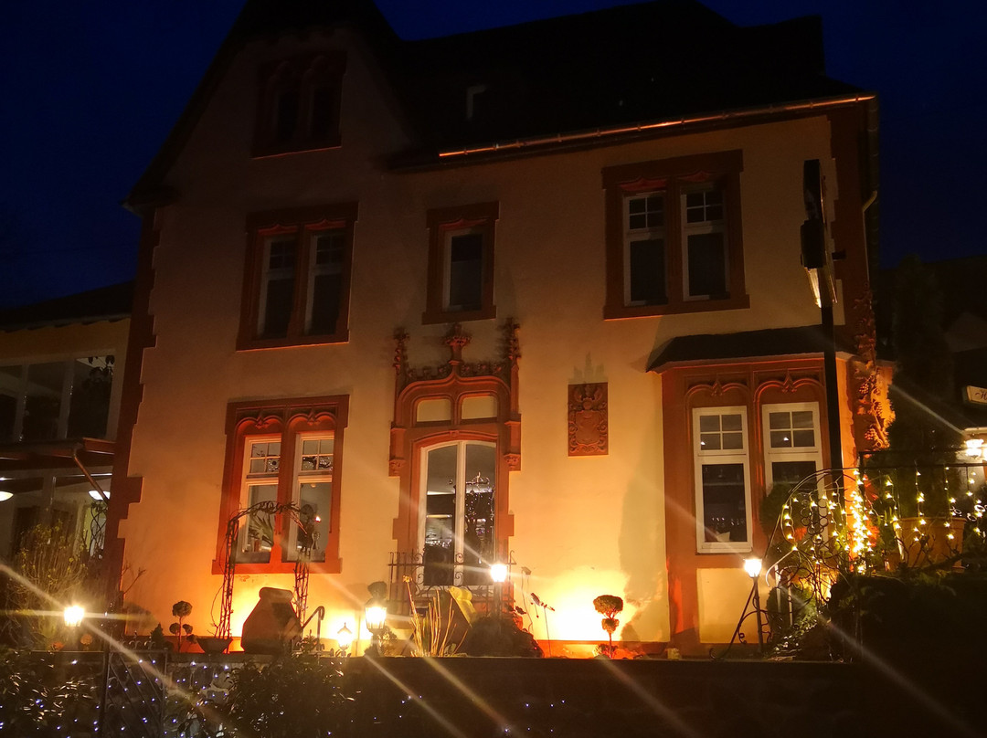 Boutique Hotel Villa Melsheimer主图