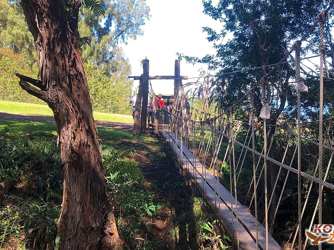 Kohala Zipline-哈威必去景点