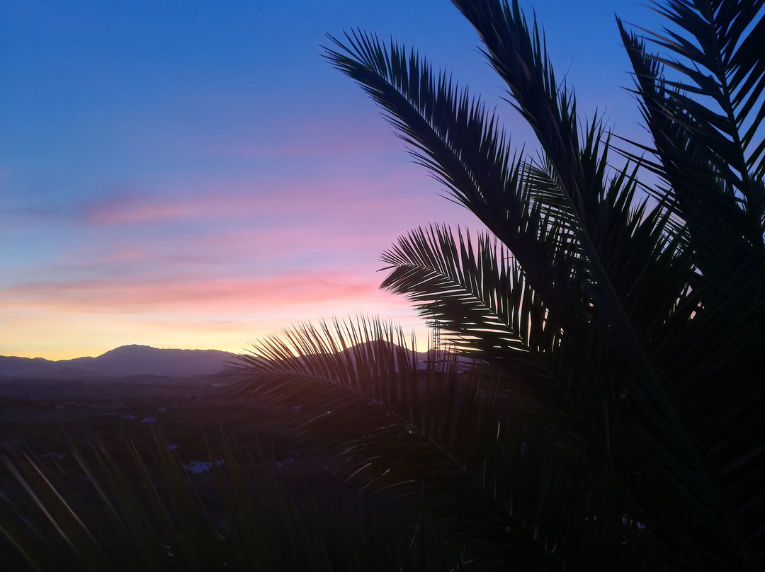 Casa De La Vida Malaga主图