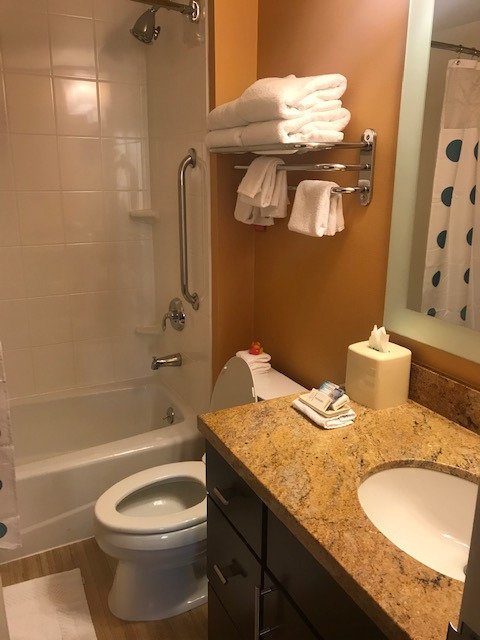Towneplace Suites Joliet South-浴室
