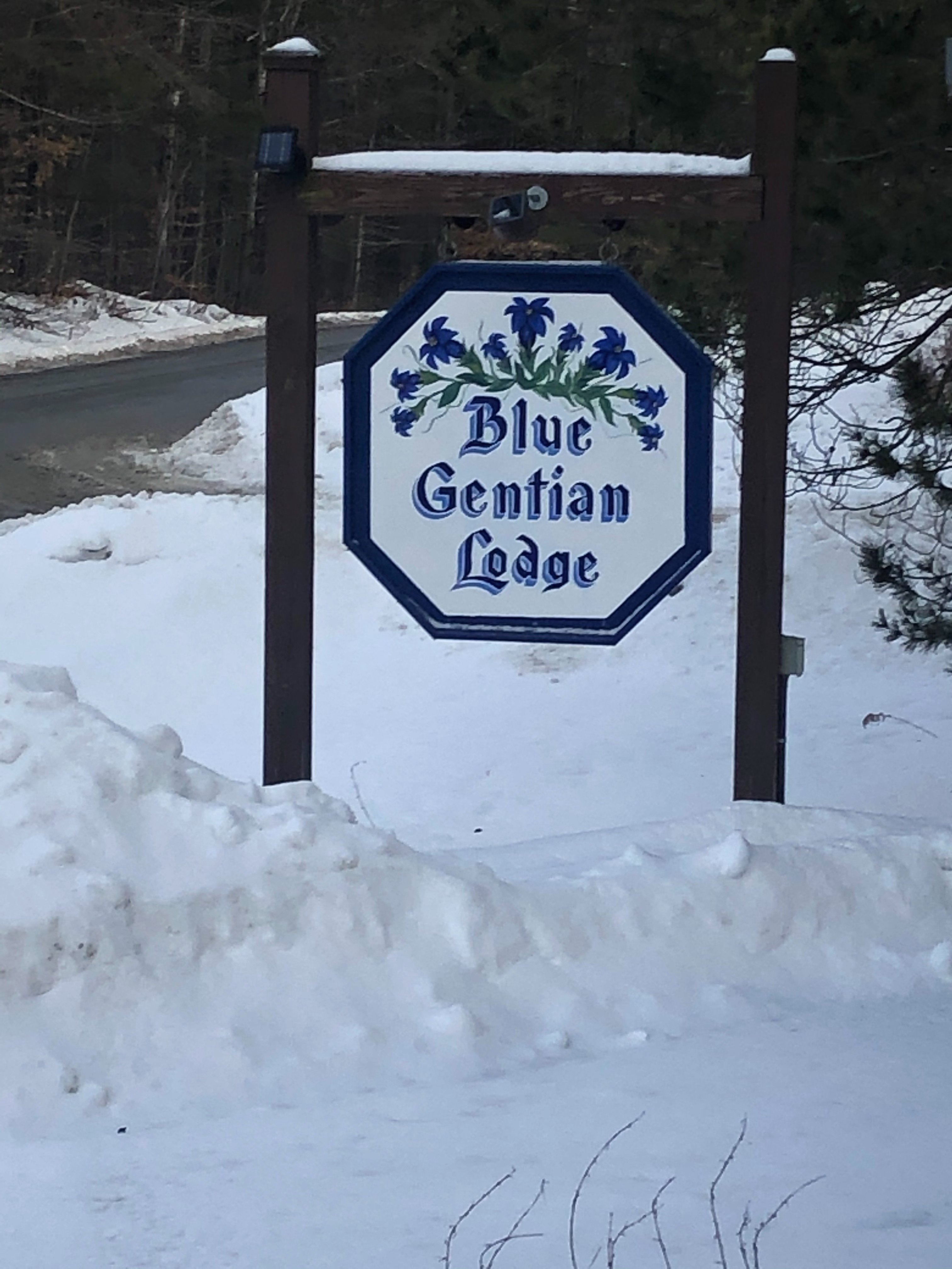 Blue Gentian Lodge-浴室
