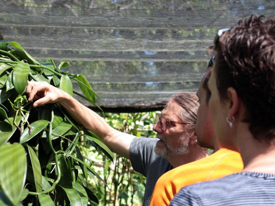 The Vanillery of Kauai-卡帕阿必去景点